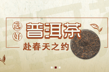贵州茶资源交易中心